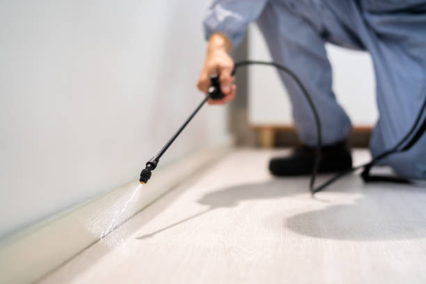 Licensed Pest Control service in Conneaut Lakeshore, PA - Show Me Pest Control